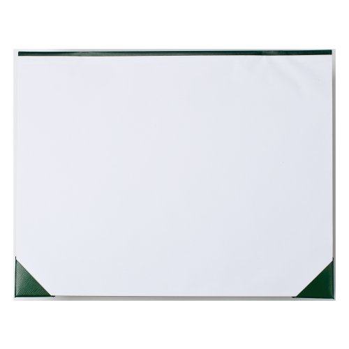 Blueline Ecologix Plain Desk Pad, 21.75 x 17 inches, 50 Pages (A181724UE)