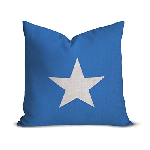 Somalia flagga ländrygg kuddfodral 40 x 40 cm, fyrkantigt bomullslinne patriotiska kuddöverdrag, dekorativt kuddöverdrag med dold dragkedja för soffa sovrum hem