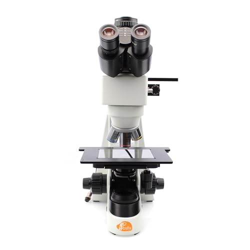 Rosfix Microscopio