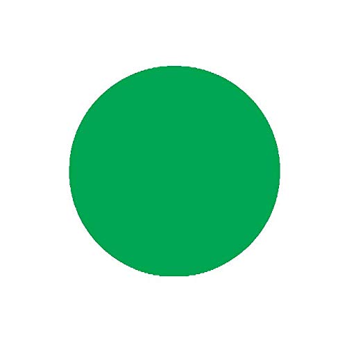 Twinkling Parrots Green Premium Acrylic Sheet Multipurpose for Craft ...