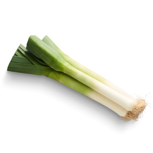 Frische Kontor | Lauch | Porree | Mild, aromatisch und vielseitig | Stangenlauch (2 Stück)