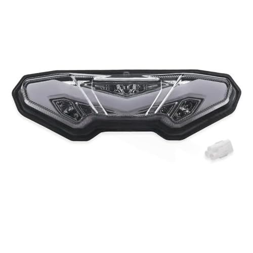 Luz LED de giro lateral y freno de 12V para rutas en Yamaha FZ-09