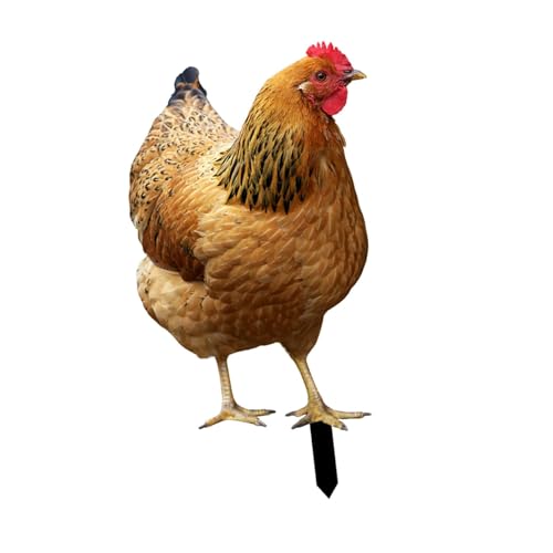 Fenteer Piqûte Métal Poule Décoratif 31.5x17.4x0.1cm