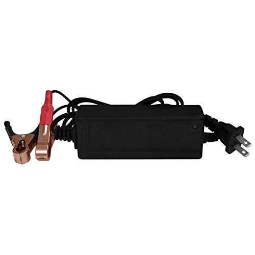 Ytz10S Gel Battery For Yamaha Yzf-R6 R6S 2006-2013 + 12V 2Amp Charger #TOP2