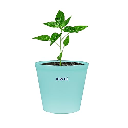 Image of KWEL N Pot for Home Garden Planters for Outdoor Balcony and Nursery Flower Planting Pots Aqua Green Color 4 Inches Pack of 24