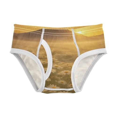 GuoChe Toddler Training Underwear Boys Cotton White Daisy Field Landscape in Sizes 2T,3T, 4T, 5T, 6Y and 8Y