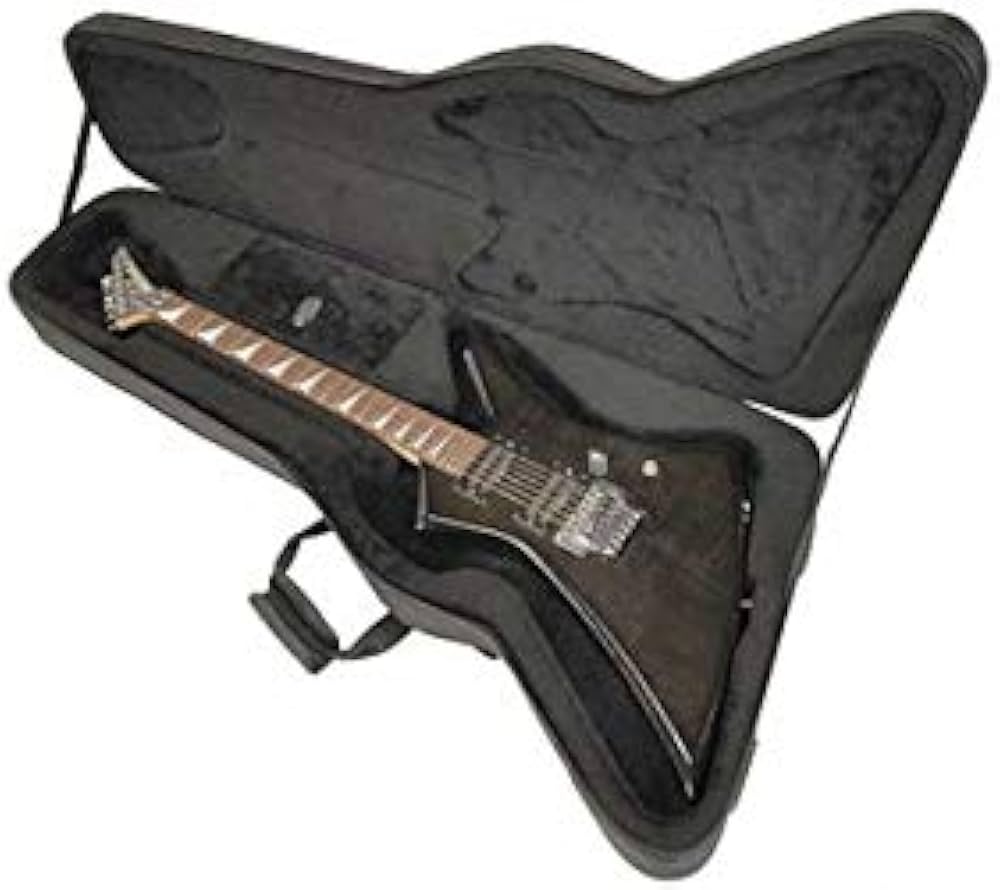 Amazon.co.jp: SKB (エスケービー) エレキギター用セミハードケース