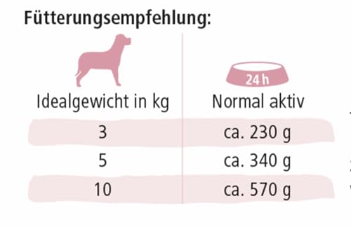 defu Hundefutter | 12 x 200 g | Bio Schwein Sensitiv getreidefrei | Premium Bio Nassfutter Menü | Alleinfuttermittel für Hunde