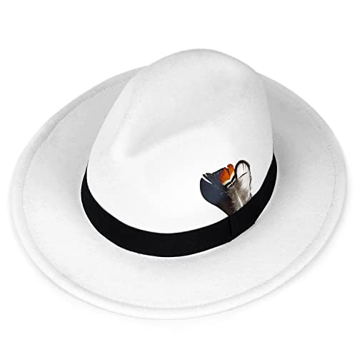 image for FADACHY Classic Fedora Hat for Men & Women Wide Brim Felt Hat Panama D