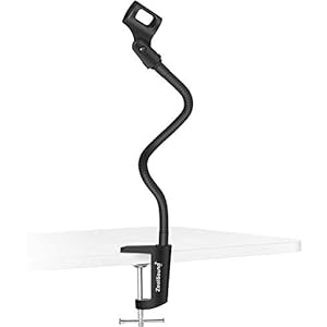 zealsound Microfoon Arm Stand, 13 “Flexibele Zwanenhals Desktop Mic Standhouder met 3/8″ tot 5/8” Schroef Adapter, Heavy Duty Bureau Klem, 360 Verstelbare Compact Mic Arm voor Blue Snowball Ice Spark