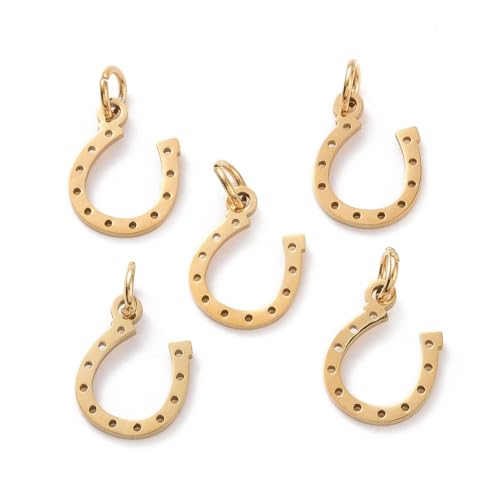 KitBeads 5Pcs Stainless Steel Horseshoe Charms Antique Dangl