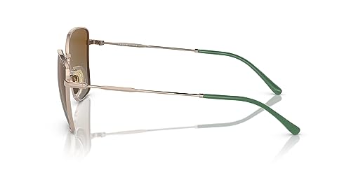 Vogue Eyewear Women's Vo4279s Butterfly Sunglasses3