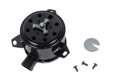 Amazon.com: GM Genuine Parts 15-81655 Engine Cooling Fan Motor  