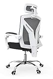 Hbada Silla de Oficina Silla de Escritorio Silla giratoria ergonómica Silla ejecutiva con Respaldo Alto con reposacabezas y reposabrazos Ajustables Blanco