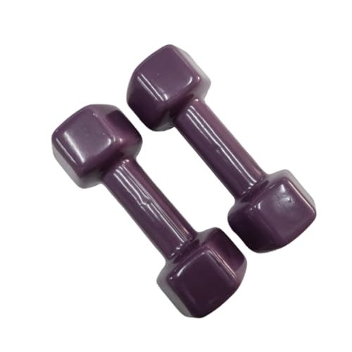 Image of Vinyl Dumbbells (purple, 2kg)