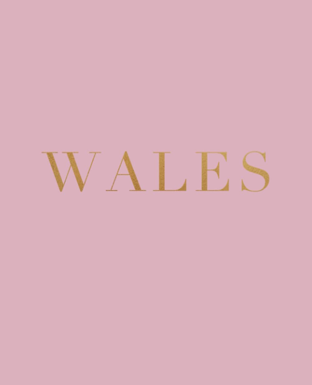 Wales: A decorative book for coffee tables, bookshelves and interior design styling | Stack deco books together to create a custom look | Chic blush