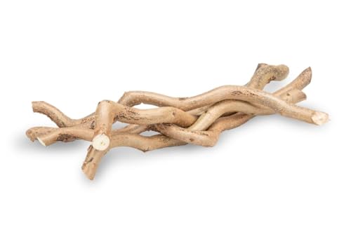 NaDeco Korkenzieher-Zweig, 5 Stück, Länge 20-30cm | Deko AST | Korkenzieherhasel | Haselzweige | Dekoholz | Sitzstange für Wellensittiche | Terrarium Deko | Schredderzweige für Vogel | Knabberzweige