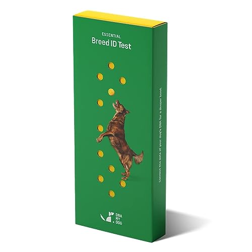 DNA My Dog – Essential Breed ID Test | Accurate DNA Analysis of 350+ Dog Breeds | Easy-to-Use Kit | Non-Invasive Cheek Swab | Results in 2 Weeks | Includes DNA Certificate & Detailed Breed Report