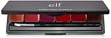 RUNWAY READY LIP PALETTE- BERRY BLISS - 83270
