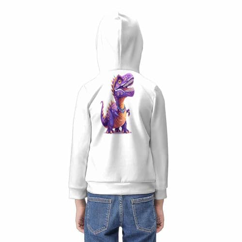 Pull dinosaure capuche garçons filles sweat imprimé 3D 11-13 ans