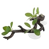 UKCOCO Branche Résine Réaliste pour Aquarium et Terrarium Décoration Naturelle avec Ven...