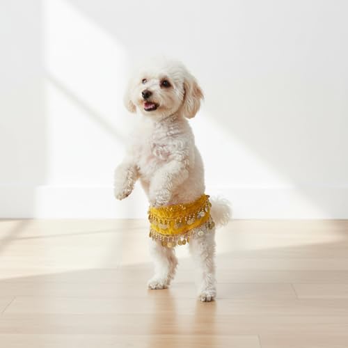 Falda de bailarina para perros con cascabeles miniatura 6