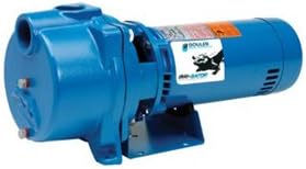 Goulds GT10 Centrifugal Pump, 1-1/2" NPT Inlet x 1-1/2" NPT Outlet