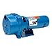 Goulds GT10 Centrifugal Pump, 1-1/2