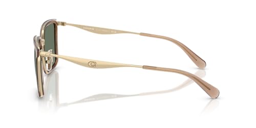 COACH Men's HC7171 Metal C Hardware Square Sunglasses, Light Gold/Sand/Green Solid, 56 mm3