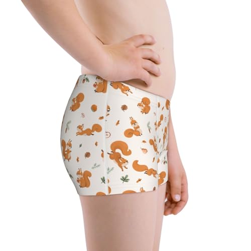 Boys' Cotton Boxer Brief Soft Underwear-Cute Squirrel Fall2
