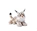Plush & Company - 15743 - Peluche - Vasaky Lynx des Neiges - 40 cm