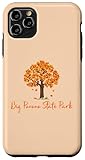 iPhone 11 Pro Max Big Pocono State Park Fall Foliage Autumn Leef Peeping Case
