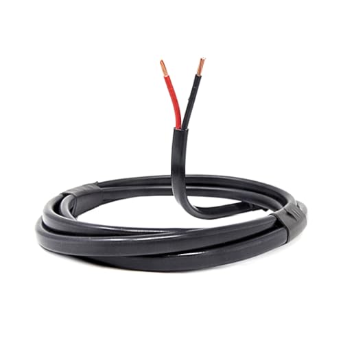 DBG - Cable automotriz de pared delgada de 2 núcleos (plano) - 1,0 mm², 16,5 A - Cable flexible de vehículo resistente para aplicaciones eléctricas de 12 V/24 V (10 m)