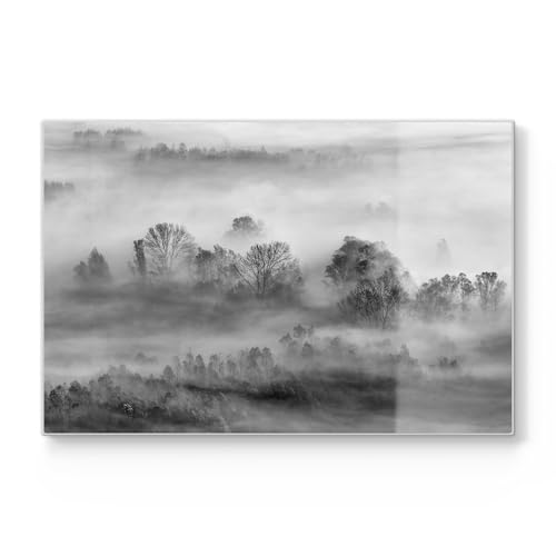 DEQORI Tabla de cortar de cristal | grande 30 x 20 cm | diseño Nebelgeflüster | placa de corte de diseño para cocina | tabla de desayuno antibacteriana y antideslizante | placa de cristal y bandeja