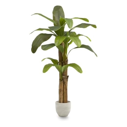 Maia Shop Platanera Artificial de 180 cm de Altura para Decoración de Hogar y Oficina, Árbol, Planta Artificial Decorativa Hiperrealista con Tronco Natural