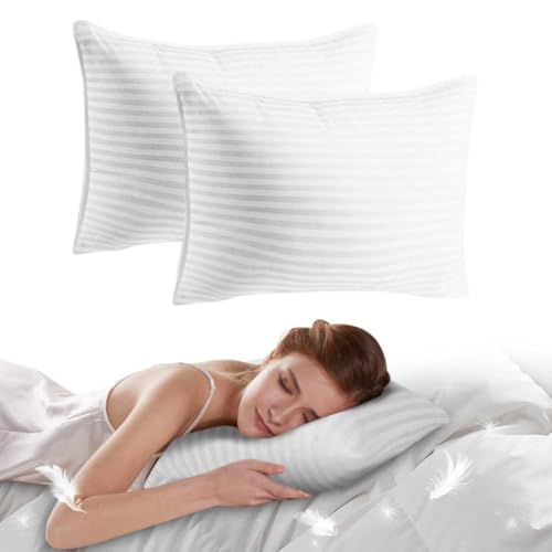 Set 2 Almohadas de Microfibra Queen Suaves
