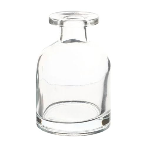 Botella difusora de vidrio vacía 100ml transparente miniatura 1
