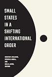 Small States in a Shifting International Order