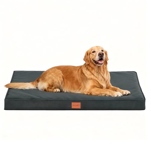 WAVVE Cuccia Cane Taglia Grande, Ortopedica Cuscino per Cani, Letto per Cani Sfoderabile e Lavabile, Divano per Cani in Uovo Foam, Base Antiscivolo, Fodera Impermeabile, XL, 112 x 81 x 7.6 cm, Grigio