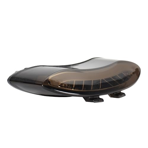 Freno luces trasero de alta visibilidad con indicador integrado Street Triple 675