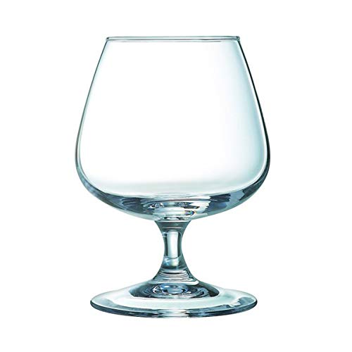 PEGANE Lot de 12 Verre à Cognac jaugé à 2 cl en Verre - 15 cl