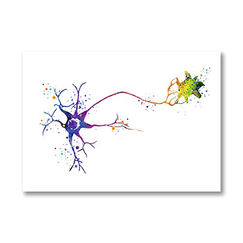 Arte de la anatomía de la célula neurona del cerebro impresiones del arte neurología del cerebro cartel ciencia médica decoración de la biología anatómica pintura de la lona sin marco 30x40cm