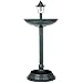 Trenton Gifts Green Weather Resistant Bird Bath & Planter With Solar Lamp Topper | 33" H X 15 1/2' Diam