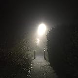 Fabricated Recordings