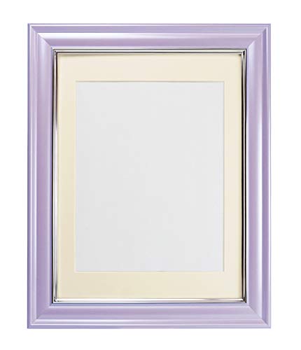 VANJOH 無反射V380カラー肖像額 八〇 パープル 106247