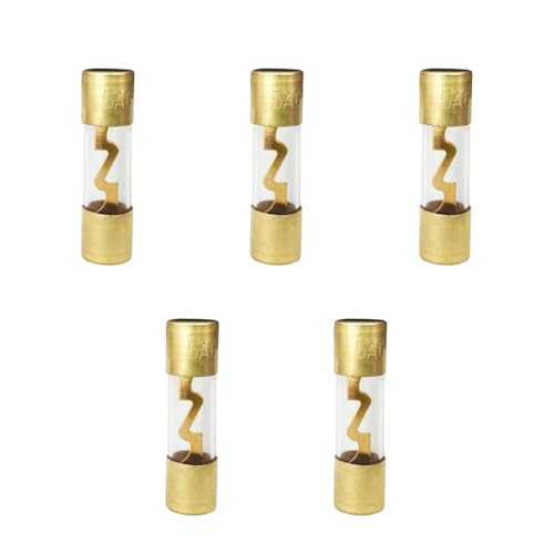100A AGU Fuse Gold Plated Glass Inline Car Audio 5Pack Glass Fuse for Car/Auto/Marine Audio Stereo Amplifier Power Protection Audio Stereo Sytem Fuse (100A)