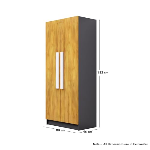 Image of Bniture Wooden Almirah for Clothes, Wardrobe for Bedroom, 2 Door Wardrobe with 4 Shelves Huge Storage Space (46D x 80W x 182H CM) | 3 Year Warranty (Slate Grey & Giant Wood)
