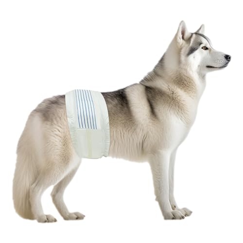 Image of BV Dog Diapers Male Large (Waist 21-26in) Super Absorbent - 50 Count Disposable - Doggie Diapers with Wetness Indicator - Adjustable Male Dog Wraps - Ideal for Incontinence /Training