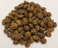 Amazon.co.jp: 北の極 EZO （えーぞー）一般食 1kg(100g×10P) : ペット用品