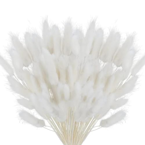 Hierba Pampas Secada Decorativa 100Pzs 45cm Blanca miniatura 1